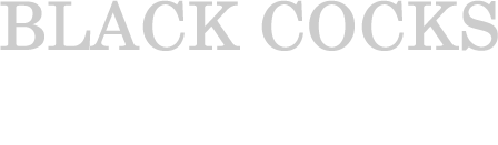 blackcocksvideo.com - free black cocks videos. White sluts and well hung niggers.